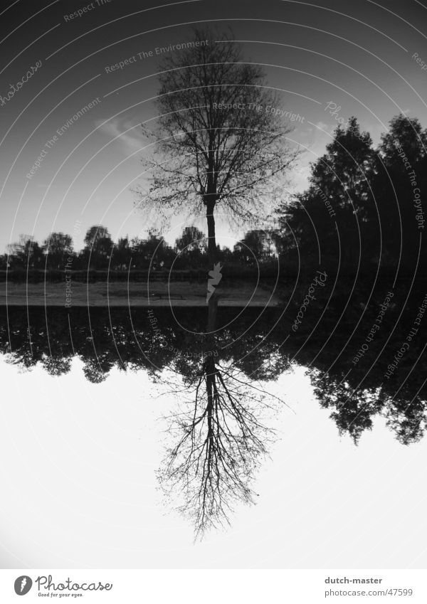 Wie rum? Spiegel Baum Fotografie Sommer Niederlande See schwarz weiß Bach Wasser spiegebild Fluss spiegelverkehrt Himmel