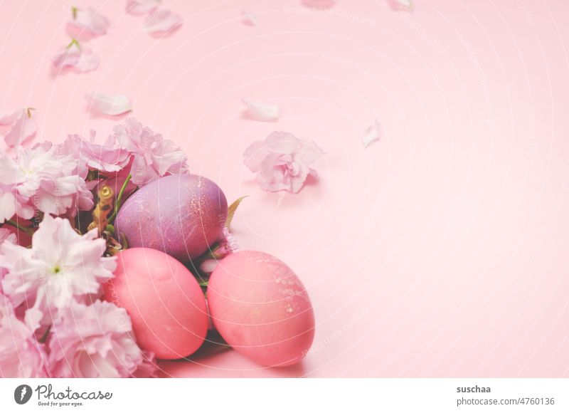 ostereier und blüten in rosa Ostern Eier Ostereier Blüten Frühling Feste & Feiern Tradition Dekoration & Verzierung Textfreiraum