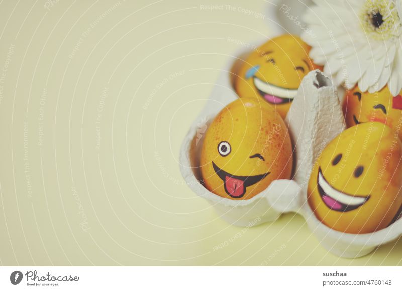 lustig angemalte ostereier im karton Ostern Ostereier bemalt Smileys lachend Frühling Dekoration & Verzierung Tradition Lebensmittel Textfreiraum Eierkarton