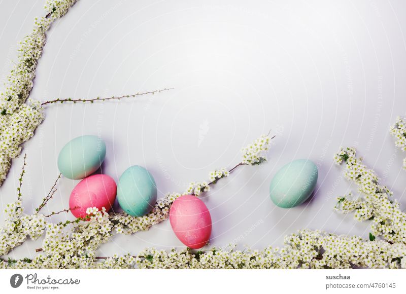 ostereier mit blütenzweigen Ostern Eier Ostereier Frühling Feste & Feiern Tradition Dekoration & Verzierung Textfreiraum bunt gefärbt bunte Eier Eierschale
