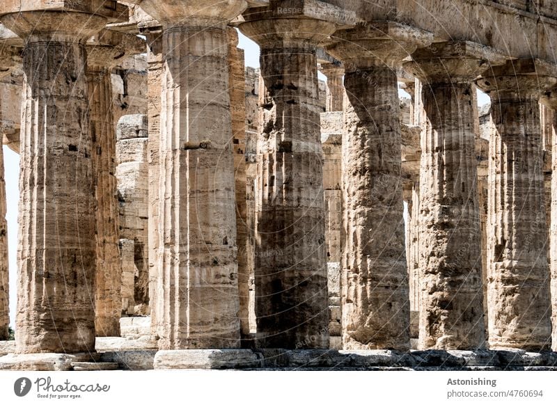 Säulen, Paestum Kampanien alt Antike Altertum Steine Tempel Historisch Geschichte Italien griechisch historisch Tourismus Außenaufnahme Architektur Ruine