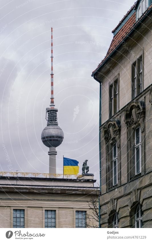 Ukrainischen Flagge auf einem Gebäude vor dem Fernsehturm Berlin, Häuserfront im Vordergrund Ukraine Frieden Krieg Protest Solidarität Politik & Staat Hoffnung