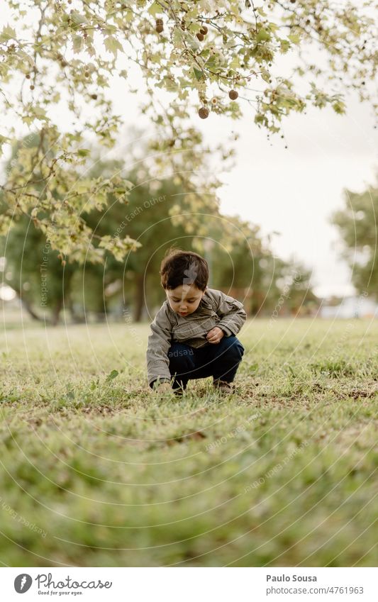 Niedlicher Junge spielt im Freien Baum Neugier Naturliebe Kind Kindheit Leben Kindheitserinnerung Kaukasier Farbfoto authentisch Tag Außenaufnahme Lifestyle