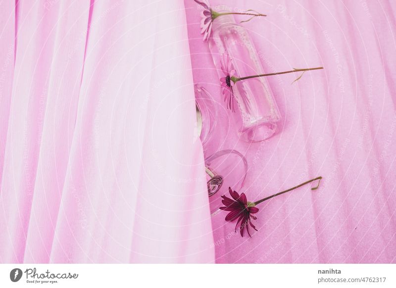Stillleben von Kosmetika mit frischen Blumen und einem Spiegel in Rosatönen Schönheit Frühling Öko frei von Grausamkeit saisonbedingt rosa geblümt Haut Pflege