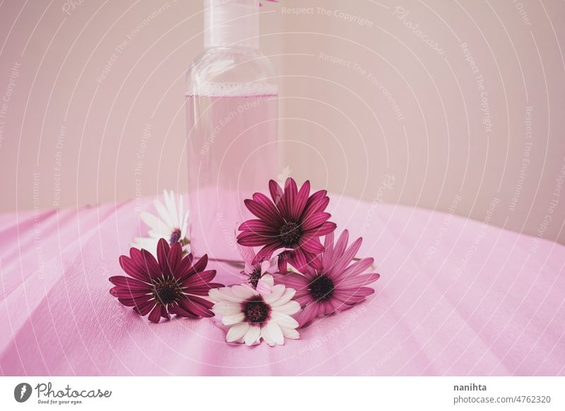 Saisonales Stillifee von frischer Öko-Gesichtslotion mit frischen Blumen in Rosatönen Frühling Lotion Kosmetik geblümt Stillleben Produkt Hautpflege Frische