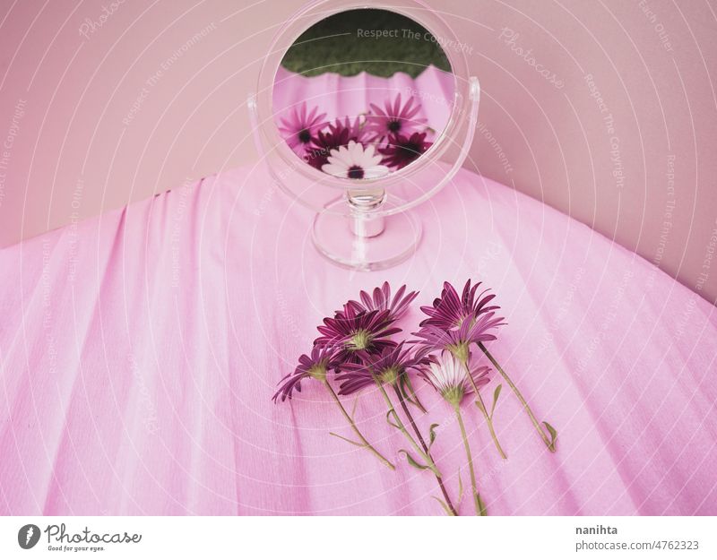 Stillleben Frühling basierte Bild eines Straußes frischer Blumen vor einem Schönheitsspiegel geblümt Spiegel Vielfalt Varieté gemischt Farbe