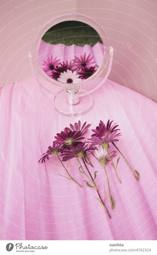 Stillleben Frühling basierte Bild eines Straußes frischer Blumen vor einem Schönheitsspiegel geblümt Spiegel Vielfalt Varieté gemischt Farbe