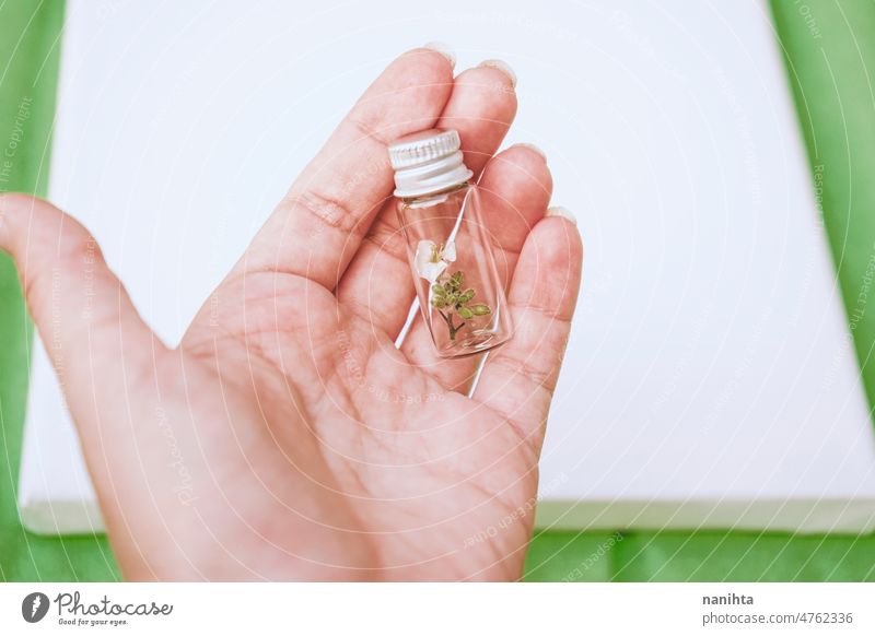 Hand hält eine kleine Flasche mit einer kleinen Pflanze darin nachhaltig Umwelt conept bewahren konservieren grün Probe Ökologie botanisch Botanik behüten