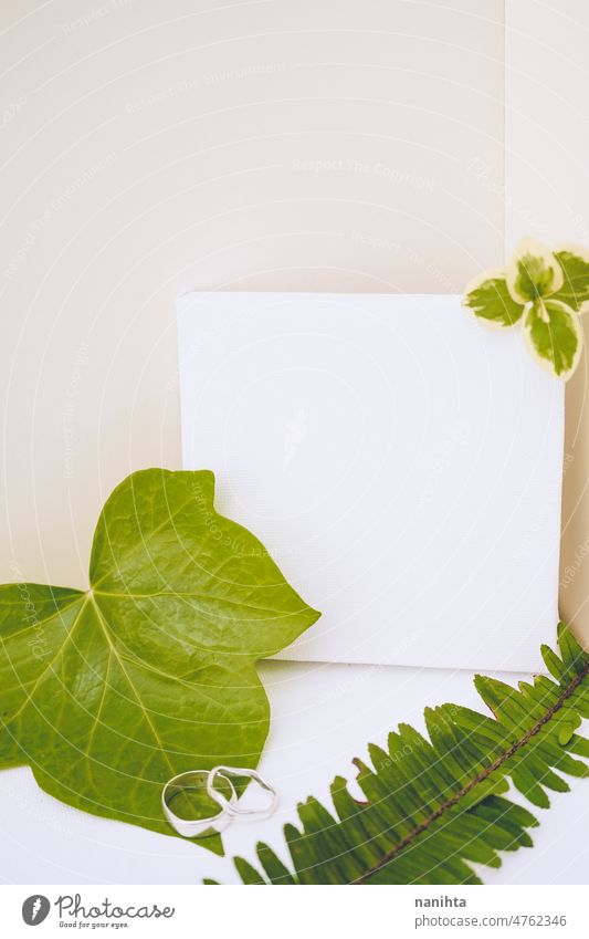 Mockup in grünen und neutralen Tönen mit organischen Blättern Attrappe Leinwand Blatt Boho Decke weiß beige klassisch Sauberkeit Frühling Wachstum