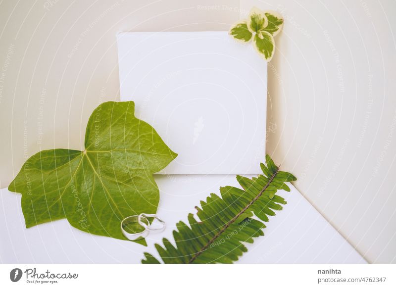 Mockup in grünen und neutralen Tönen mit organischen Blättern Attrappe Leinwand Blatt Boho Decke weiß beige klassisch Sauberkeit Frühling Wachstum