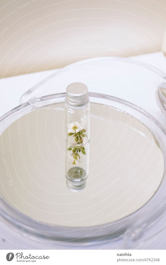 Kleine Pflanze in einer kleinen Flasche über einem Spiegel nachhaltig Umwelt conept bewahren konservieren grün Probe Ökologie botanisch Botanik behüten