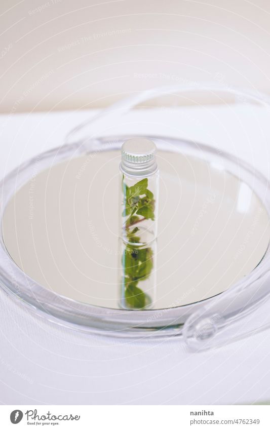 Kleine Pflanze in einer kleinen Flasche über einem Spiegel nachhaltig Umwelt conept bewahren konservieren grün Probe Ökologie botanisch Botanik behüten
