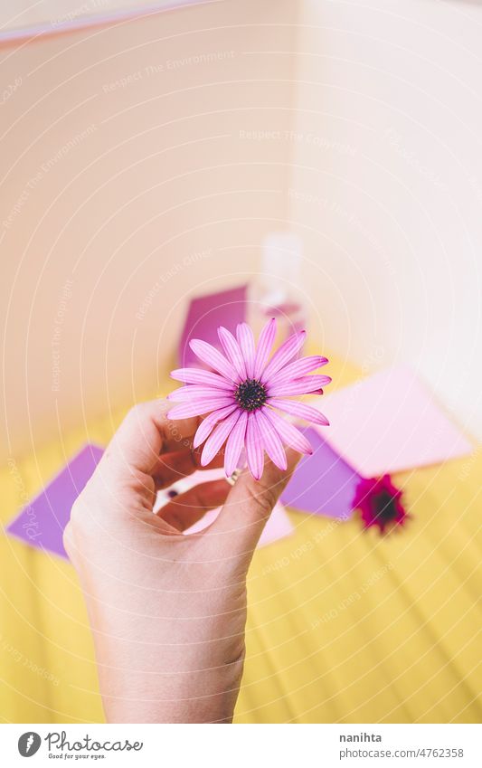 Stilleben von Öko-Kosmetik mit Blumen in Papier Hintergrund Design Frühling winzig Flasche Tonic Lotion Duft Wasser geblümt saisonbedingt Pop farbenfroh frisch