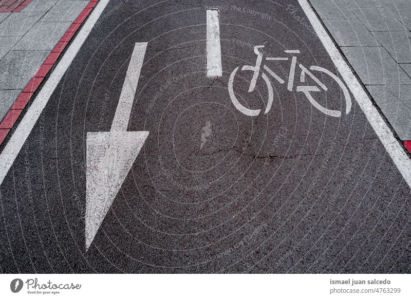 Fahrradampel auf der Straße Ampel Zyklus Bahn Fahrradweg Fahrradsignal signalisieren Verkehrsgebot Ermahnung Großstadt Verkehrsschild Zeichen Symbol Weg