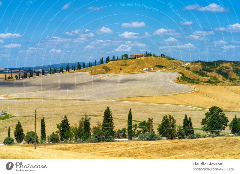 Ländliche Landschaft im Val d Orcia, Toskana, Italien Asciano Europa Siena Ackerbau Farbe Zypresse Tag Bauernhof Feld grün Hügel Natur im Freien Fotografie