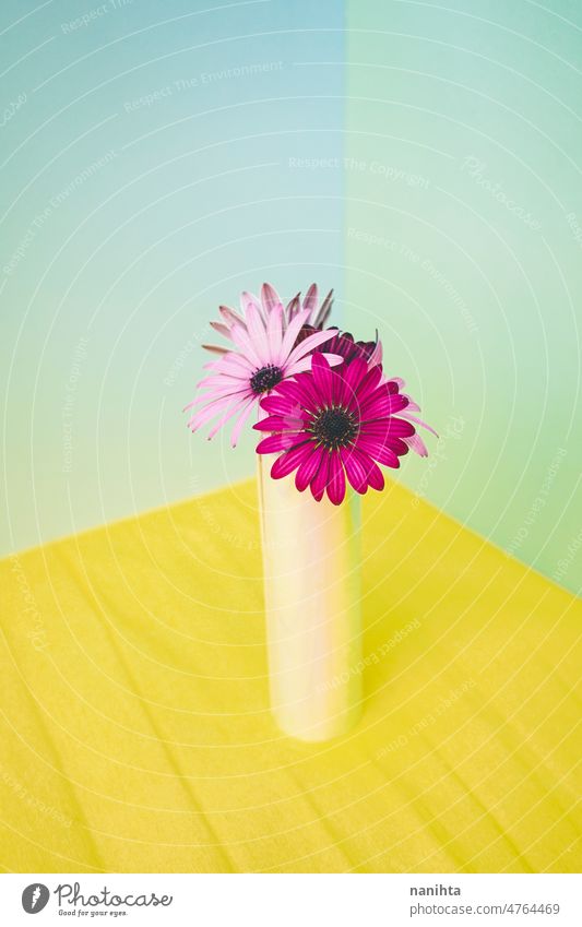 Blumenstrauß in einer irisierenden Vase geblümt Szene farbenfroh schön Natur natürlich frisch Frische Frühling Farbe Farben Zusammensetzung pulsierend brilliant