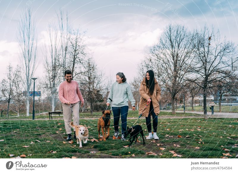 Drei Freunde gehen mit ihren Hunden im Park spazieren drei Personen drei Tiere laufen anleinen Gras Vorderansicht grün Baum im Freien Haustier Natur