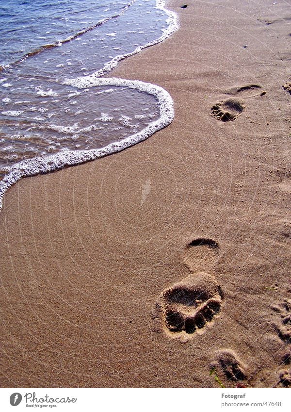 Footsteps schreiten Strand Spuren Fußspur gehen Sommer braun Wasser laufen Stempel Sand Schwimmen & Baden Sonne feet foot footsteps Barfuß