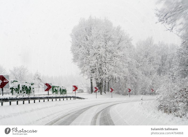 verschneite Autobahnausfahrt LANDSCHAFT PFLANZEN VERKEHR WEG WETTER autobahn autofahrt baum botanik bäume fahrbahn kurve natur schnee schneefall schneien straße