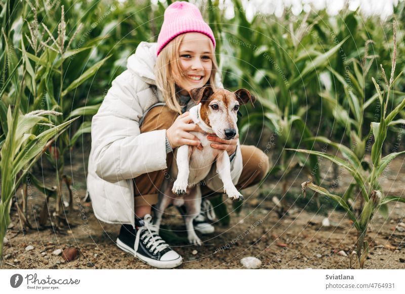 Glückliches Mädchen im Teenageralter, das ihren Hund Jack Russell Terrier auf einem Feld vor dem Hintergrund eines Maisfeldes im Herbst umarmt Umarmung rosa