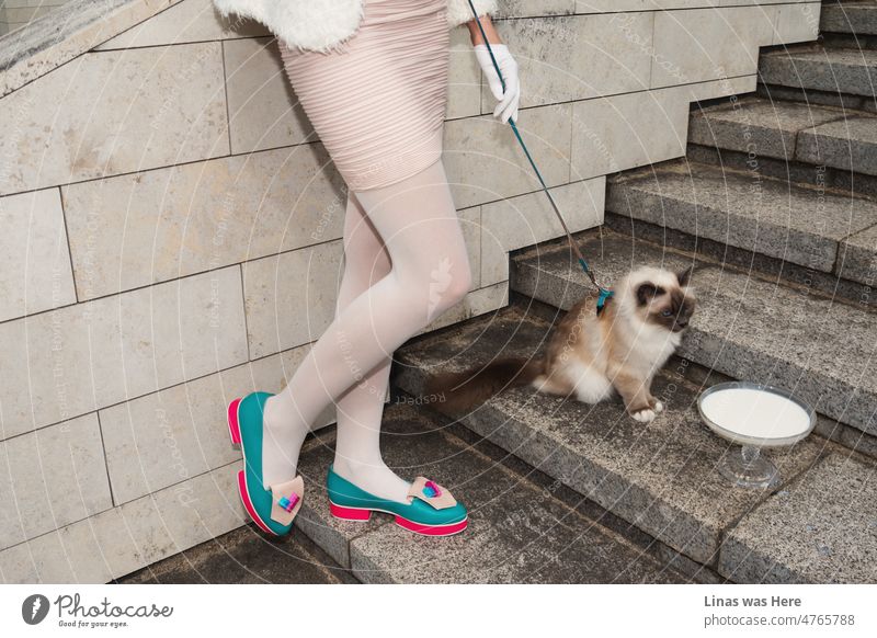 Ein Mädchen mit einer Katze. Und ein rosa Minirock mit weißen Handschuhen. Und nicht zu vergessen: schicke avantgardistische elektrische Schuhe. Die Katze hat auch ein schickes Glas Milch. Die Betontreppe verleiht diesem Bild eine gewisse Stadtatmosphäre.