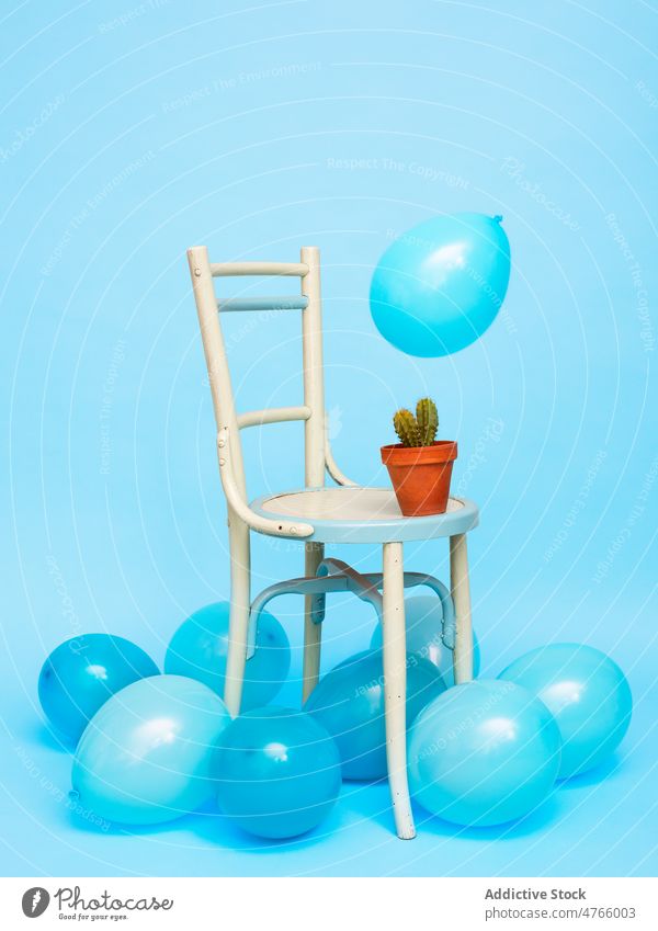 Kaktus auf Stuhl und blaue Luftballons im Atelier eingetopft dekorativ kreativ Dekoration & Verzierung Kakteen farbenfroh Stil Sukkulente Sitz besetzen piecken