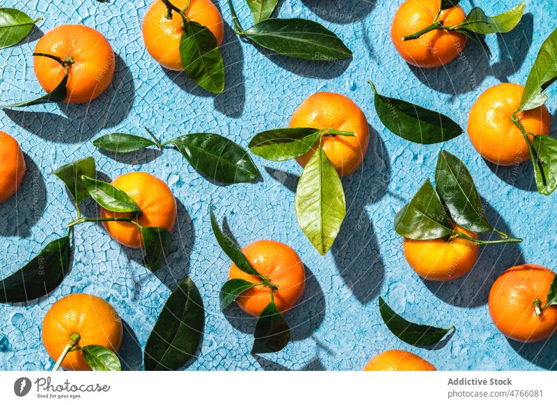 Tropische Mandarinen mit Blättern auf blauer Oberfläche Blatt Zweig Frucht Reihe frisch reif flache Verlegung farbenfroh Hintergrund Zusammensetzung Vitamin