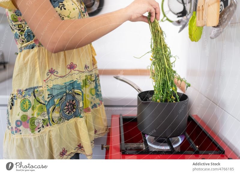 Unerkennbare Frau säuselt getrocknete Kamille in einen Kochtopf mexikanisch Kraut Pflanze Blume Bestandteil Herd Kocher Gastronomie kulinarisch vorbereiten