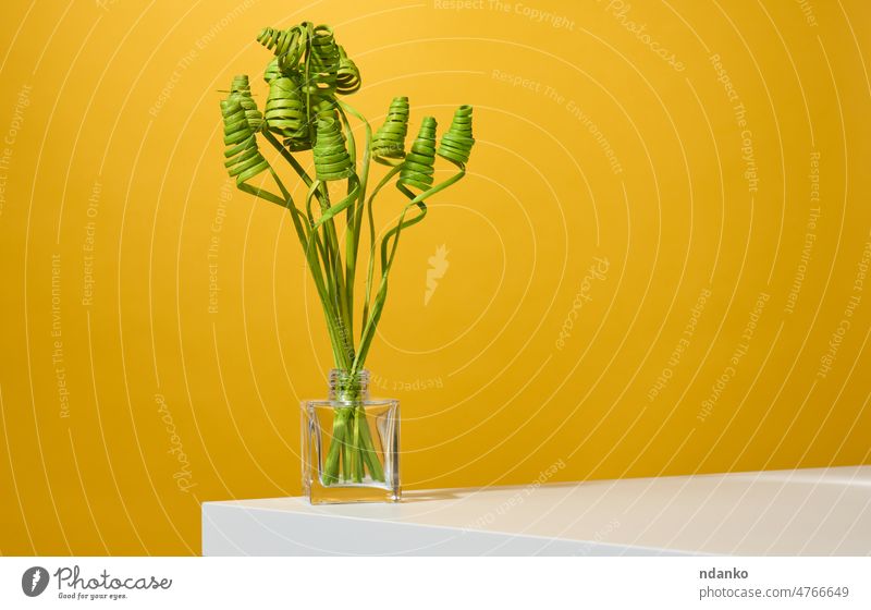 transparente Glasvase mit grünen Trockenblumen auf einem weißen Tisch, gelber Hintergrund Blumenstrauß Ast Haufen Dekor Dekoration & Verzierung Design