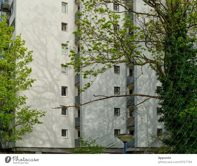 Weiße Hochhausfassaden, beiderseits umrandet von frisch grünenden Bäumen, die Licht- und Schattenmuster erzeugen weiß Hochhäuser Fassade hell Frühling