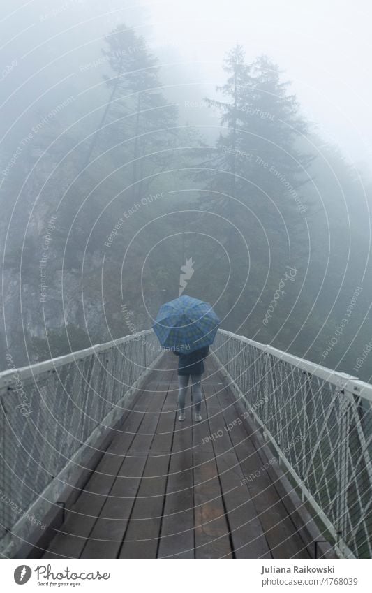 Frau auf der Marien Brücke mit Regenschirm bei Nebel Rückansicht Einsam allein Einsamkeit Stimmung natürlich kühl ruhig Natur grau kariert Umwelt