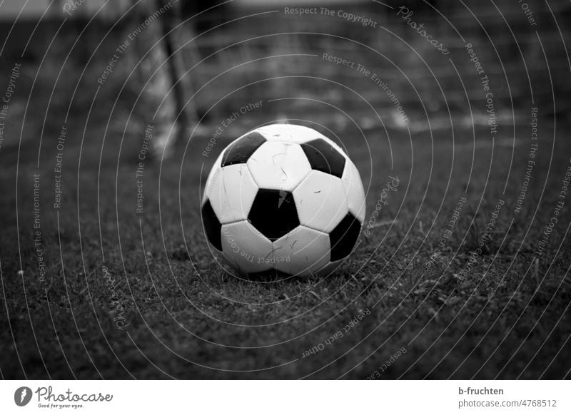 Elfmeter - Fussball auf einer Spielwiese mit Fußballtor Sport Tor Spielen Spielplatz Fußballfeld Spielfeld im Freien Wiese Gras Park Sportgerät Feld spielen