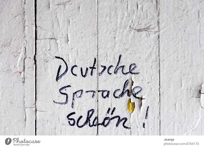 Deutsche Sprache schön! Grammatik Schriftzeichen Kommunizieren Kommunikation deutsche Sprache Wand weiß Typographie Sprachen lernen Fremdsprache Integration