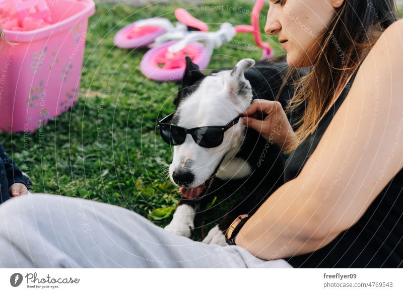 Frau setzt ihrem Hund eine Sonnenbrille auf Porträt lustig Sommer Haustier Humor Spaß Tier männlich Musik Erholung genießen niedlich Sitzen Sonnenbad Urlauber
