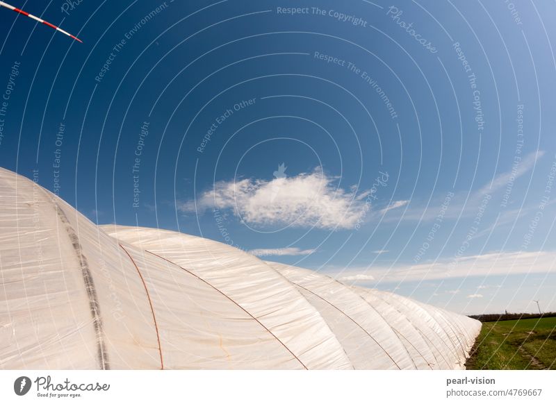Folientunnel mit Rotorblatt Horizont Himmel Natur Acker natürliche Wärme Sonnenenergie schönes Wetter Landwirtschaft Gewächshaus Agrarwirtschaft Feld