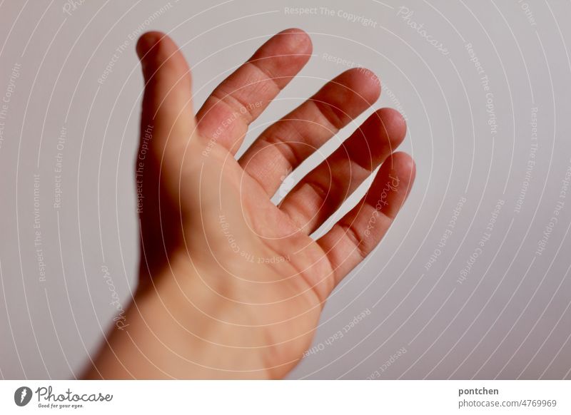 Linke Hand. Eine offene Hand. Handinnenfläche vor neutralem Hintergrund linke hand linkshänder handinnenfläche finger offene hand angebot hilfe hand hinhalten