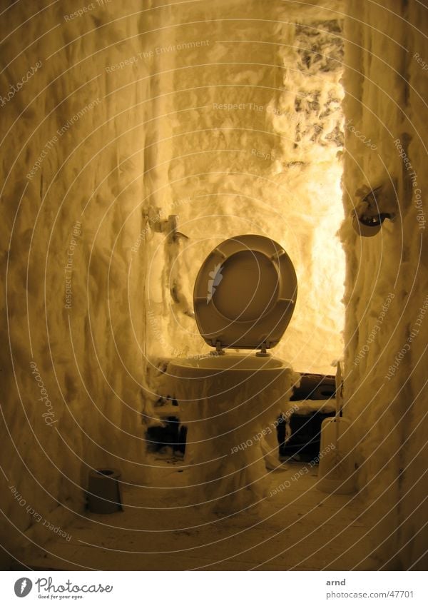 lokuslicht Licht Watte Brille Wand geheimnisvoll indirekt Ladengeschäft Pissoir Stuhlgang Toilette Schalen & Schüsseln papier toilettenpapier Geschirr Bauernhof