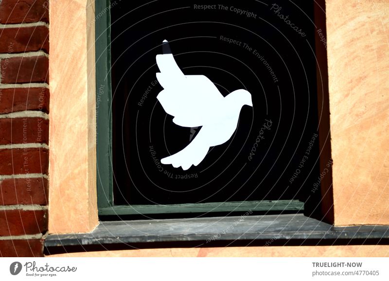 Weisse Taube im Flug als Friedenssymbol in Fenstern des Bertha von Suttner Gymnasiums Babelsberg, gerahmt mit Holz, Naturstein und Ziegelsteinen Friedenstaube