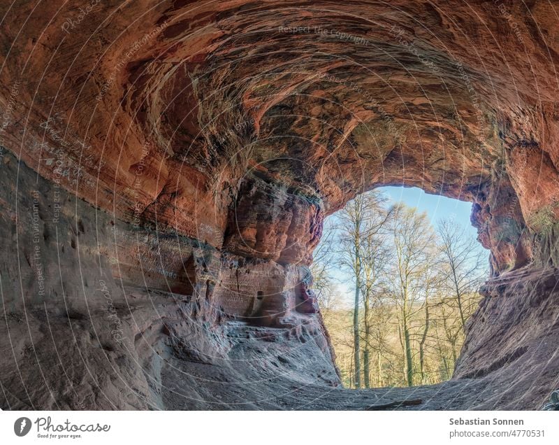 Genoveva-Höhle im roten Sandstein in der Eifel bei Trier, Deutschland Felsen Wald natürlich Natur Stein Holz Berge u. Gebirge romantisch Bäume Rheinland-Pfalz