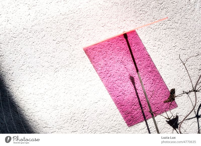 Pinkfarbener Schatten Plexiglas orange pink rosa Licht Lichtplatte Kontrast Hauswand verdorrte Halme leuchtend Kontraste hell dunkel Sonnenschein sonnig