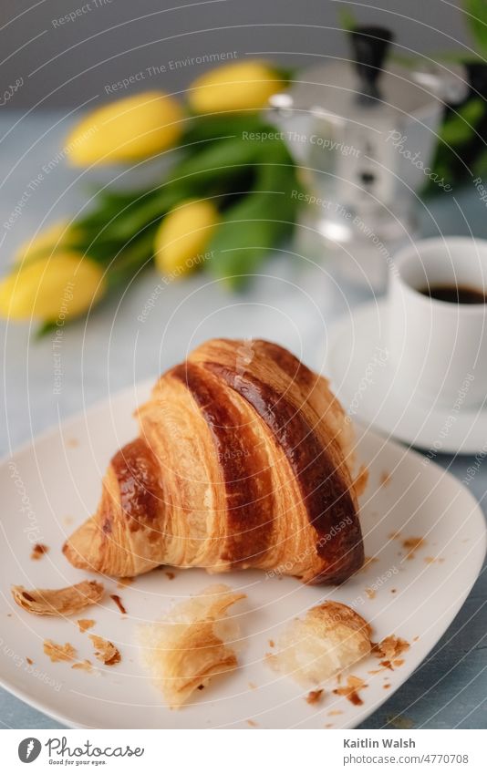 Ein flockiges Croissant sitzt vor einem Espresso und gelben Tulpen. Lebensmittel Backwaren Bäckerei Frühstück lecker frisch Essen Kaffee kontinental Blätterteig