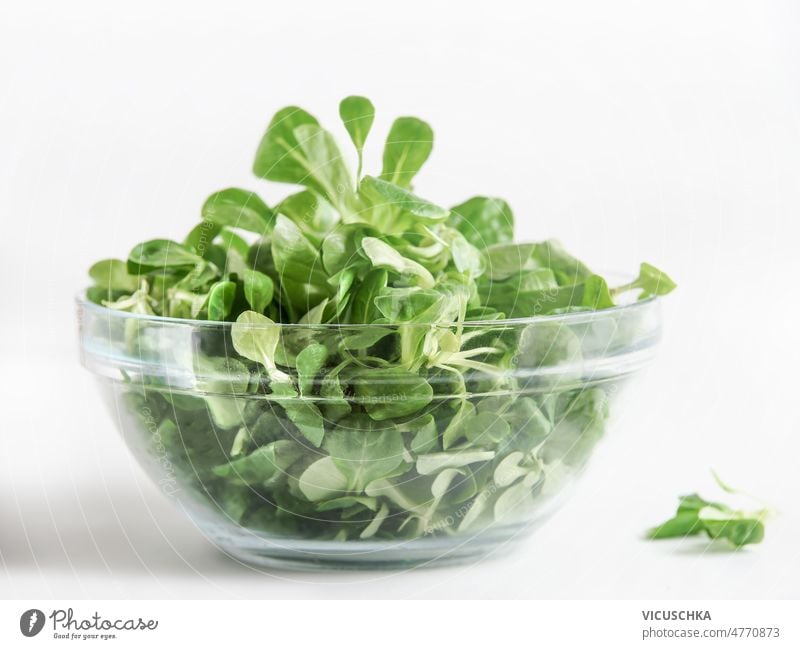 Grüne Salatblätter in Glasschale auf weißem Hintergrund. Gesundes Essen. grün Schalen & Schüsseln weißer Hintergrund gesunde Ernährung Vorderansicht