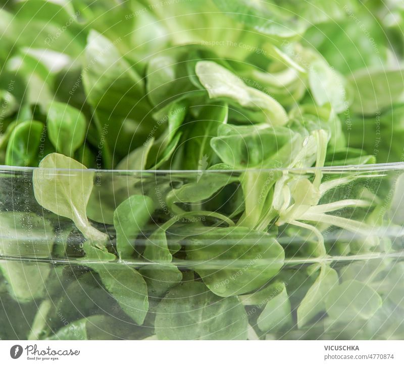 Nahaufnahme von grünen Salatblättern in einer Glasschale. abschließen Schalen & Schüsseln Gesundheit Salatbeilage Essen zubereiten frisch Zutaten Vorderansicht