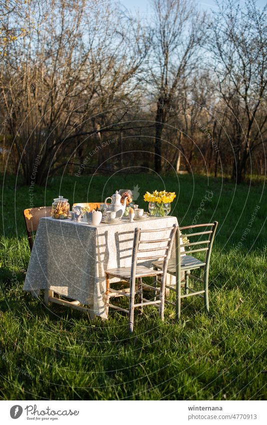 Tisch in der Mitte einer Meddow Dekoration & Verzierung Ostern Stühle Frühling Hinterhof Porzellan Sonne Sonnenlicht Dorf Cottage Fest warm Gras grün gelb blau