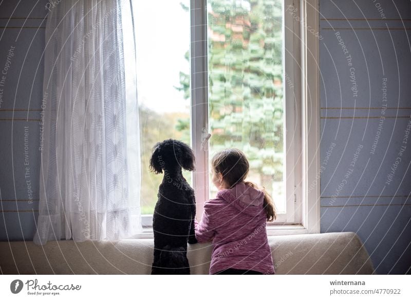 Freunde schauen durch das Fenster, Mädchen und ein Hund Kind watend Vorhänge Wand blau Haus heimwärts Cottage Freude für immer Kindheit Lifestyle heiter Spielen