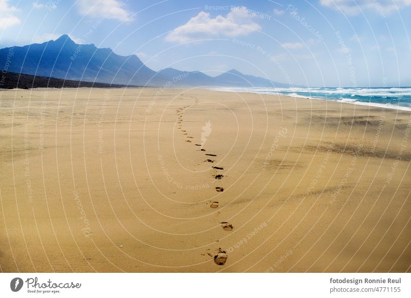 Fußspuren am weiten Strand von Cofete an der Westküste Fuerteventuras Kanarische Inseln Spanien Küste Wildheit Atlantik Sand Weite Spuren Wind Wellen Ozean