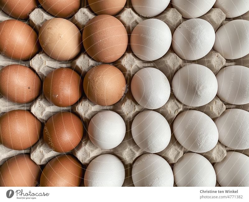 Eine Lage braune und weiße Eier von glücklichen Freiland - Hühnern Hühnereier Naturfarben frische Eier artgerechte Tierhaltung Eierschale aus der Region