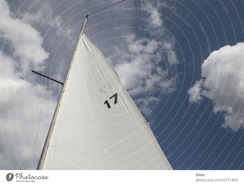 Segel 17 segel zahl wolken himmel schifffahrt segeln wind gespannt sonnig luftig segeltuch naht nähte