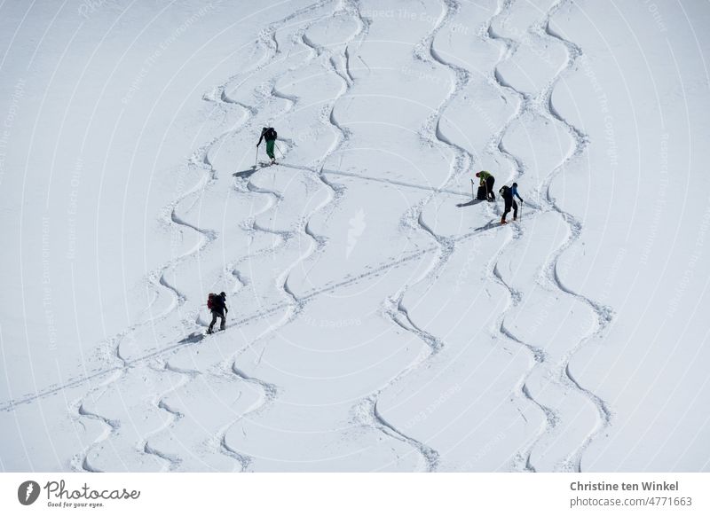 Tourengeher abseits der Skipiste queren beim Aufstieg mehrere Abfahrtsspuren Skitour 4 Menschen abseits der Piste Freude Glück Wintersport Schnee