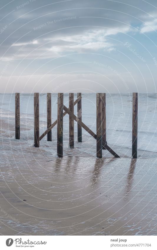 Grafisch wirkende Horizontlinie mit Holzpfählen Meer Poller grafisch Linie minimalistisch MeerKüste Nordsee grau Landschaft Natur Wasser Textfreiraum oben ruhig